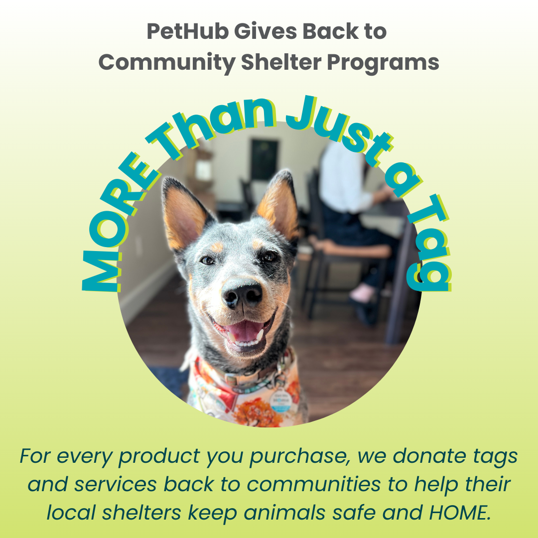 PetHub QR Pet ID Tag – Classic Aluminum